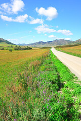 Rural road in the Altai mountains