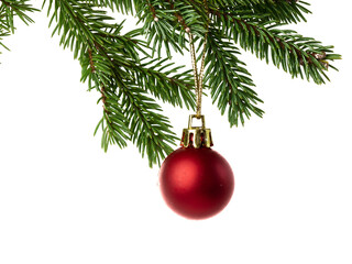 Christmas ornament on a pine branch