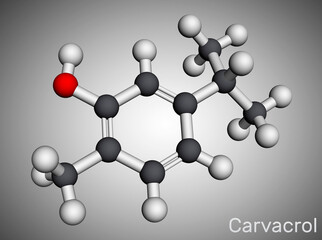 Carvacrol, cymophenol molecule. It is natural monoterpene derivative of cymene, inhibitor of bacterial growth, it is used as food additive. Molecular model. 3D rendering