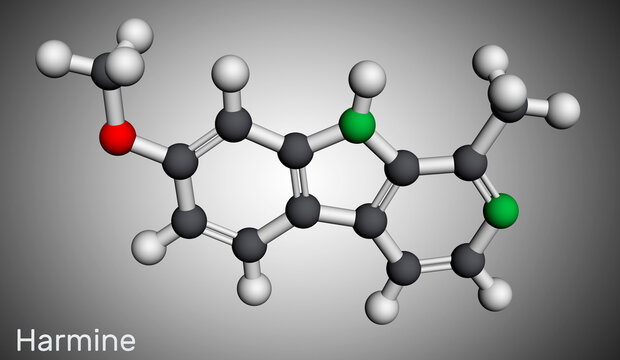Harmine molecule. It is fluorescent harmala alkaloid, inhibits monoamine oxidase A, MAO-A. Molecular model. 3D rendering