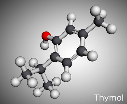 Thymol, IPMP molecule. It is phenol, natural monoterpene derivative of cymene. Obtained from thyme oil or other volatile oils. Molecular model. 3D rendering