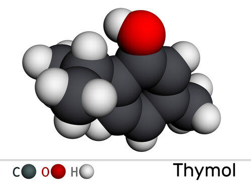 Thymol, IPMP molecule. It is phenol, natural monoterpene derivative of cymene. Obtained from thyme oil or other volatile oils. Molecular model. 3D rendering