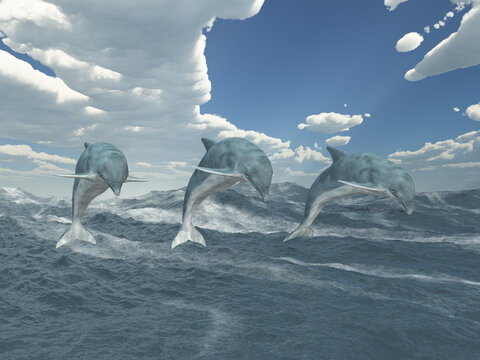 Springende Delfine im stürmischen Meer