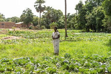 Black african farmer standing in his field with a hoe on his shoulder smiling at the camera - obrazy, fototapety, plakaty
