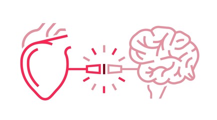Heart and brain connection. Medical, scientific, healthcare concept.