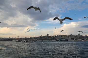 Boat trip along the Golden Horn, Istanbul, Turkey, December 2021.