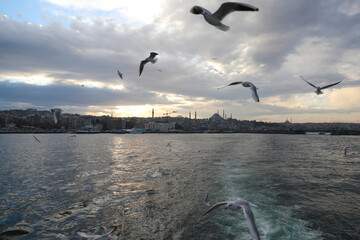 Boat trip along the Golden Horn, Istanbul, Turkey, December 2021.