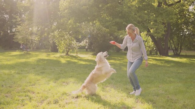 Overjoyed woman carry cute retriever while walking in park. Portrait of happy woman stroll in park with cute dog while enjoying warm summer day together