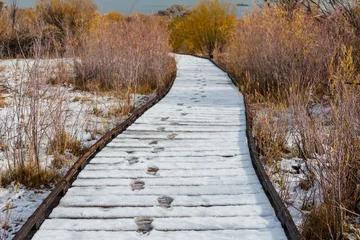 Foto auf Acrylglas Boardwalk in winter season © Galyna Andrushko