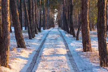 Foto op Plexiglas Winter forest © Galyna Andrushko