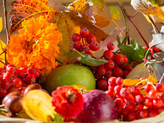 Autumn still life. Autumn background with red berries with yellow leaves, green apple. Autumn harvest with copy space. Layout for seasonal offers and holiday cards