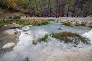 Landscape of Solfatara of Monterano,included in the geological heritage sites of Lazio, Canale...