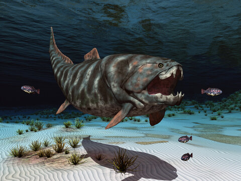 Prähistorischer Fisch Dunkleosteus auf der Jagd