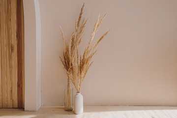 Home plant pampas grass in bottle. Aesthetic minimal modern Scandinavian interior design decoration