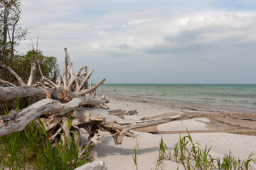 Natural beach on the Baltic coast	