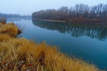 wild natural landscape, late autumn season, river, bare branches of trees without leaves, cloudy weather with haze, forest with silhouettes of trees
