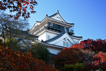 岡崎城の天守閣と紅葉