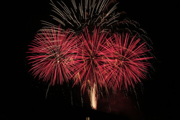 fireworks in the sky