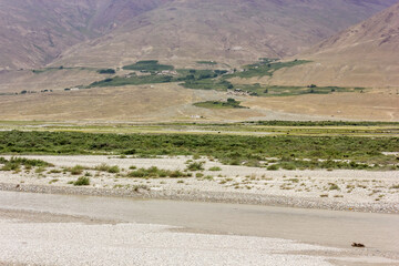 The Zanskar river flowing through the cold desert landscape of the village of Padum in Ladakh in the Indian Himalaya.