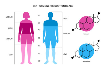 Testosterone estrogen level - obrazy, fototapety, plakaty