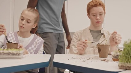 Tracking right of cropped teacher walking behind and watching multiethnic middle school students sitting at desks at school, transplanting seedlings