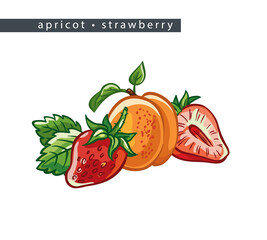 sketch_apricot_strawberry_two_whole_fruits_half_and_leaves