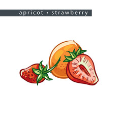sketch_apricot_strawberry_two_whole_fruits_and_half