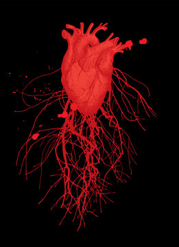 Abstract vector banner with a red human heart, blood vessels and veins on a black. Hand-drawn illustration on a theme of anatomy, art, love. Suitable for poster, tattoo, T-shirt design, valentine card
