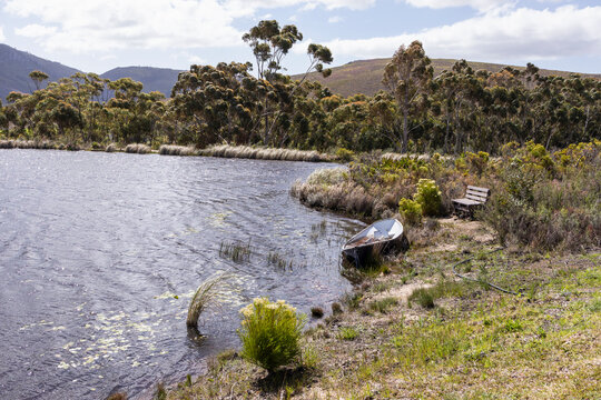 Row boat on the water at a farm