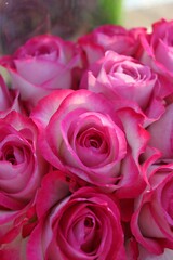 bouquet of pink roses