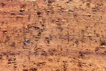 Red brick surface, closeup. Selective focus. Abstract orange background in loft style