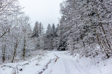 Winterliche Entdeckungstour durch den Thüringer Wald bei Steinbach-Hallenberg - Thüringen