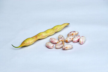 Rajma beans or red kidney beans in white background, Satara, Maharashtra, India
