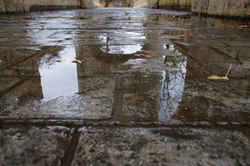 Paving stones with leaves on the water. Autumn leaves after rain on ancient paving stones. Stone pavement. Reflection of water in a puddle on the road after rain.