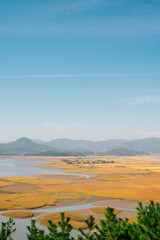 Panoramic view of Suncheonman Bay wetland at autumn in Suncheon, Korea
