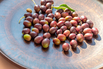 Freshly picked olive tree fruits in ceramic plate. Olive fruits are symbol of longevity and youth