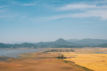Panoramic view of Suncheonman Bay wetland at autumn in Suncheon, Korea