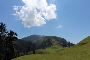 Paye meadows, Naran KPK, Pakistan