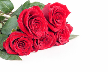 Gift bright fresh bouquet of red roses on a white background for congratulations on the calendar date, anniversary, holiday. 