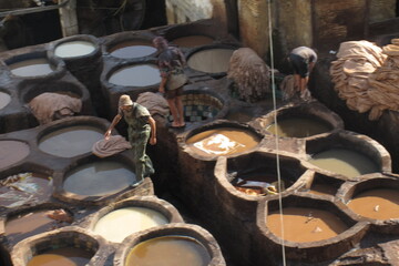 leather dyeing in the city center of Fes in Morocco