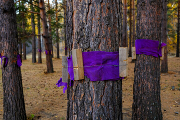 Homemade protection of trees from stress. Wooden pegs and cloth tied with pine trunks