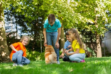Fototapeta premium Smiling Beautiful schoolchild Playing with Happy little Dog on the Backyard Lawn.