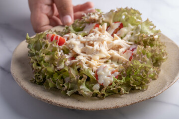 Shredded Chicken Breast Green Oak Tomato Salad with Creamy Dressing