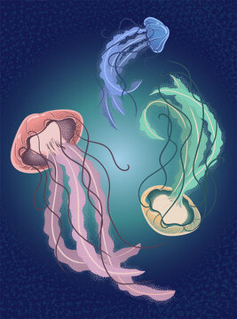 Jellyfish underwater marine on deep blue background. Vector art illustration for postcard, booklet, flyer, etc.