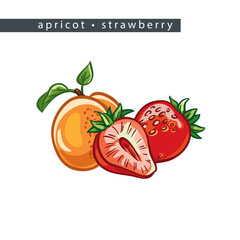 sketch_apricot_strawberry_half_and_two_whole_fruits