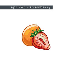 sketch_apricot_strawberry_whole_fruit_and_half