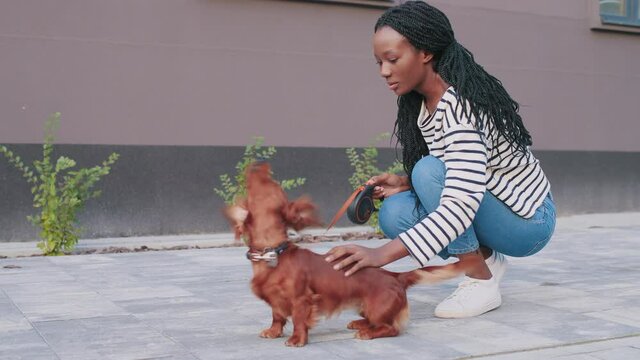 My dear. Full length view of the lovely brunette multiracial woman walking with her funny red dachshund dog while spending time at the street. Loving pets concept