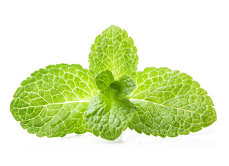 Fresh mint isolated on a white background