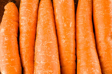 Close up of fresh carrots