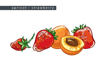 sketch_apricot_strawberry_four_whole_fruits_and_half